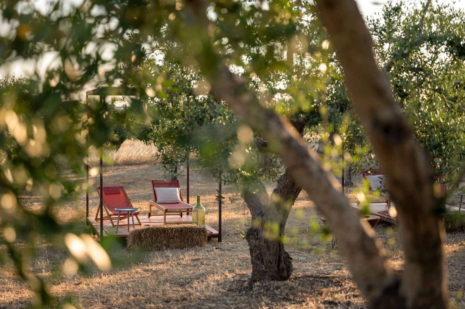 Sunbeds at Masseria Bianco in Puglia