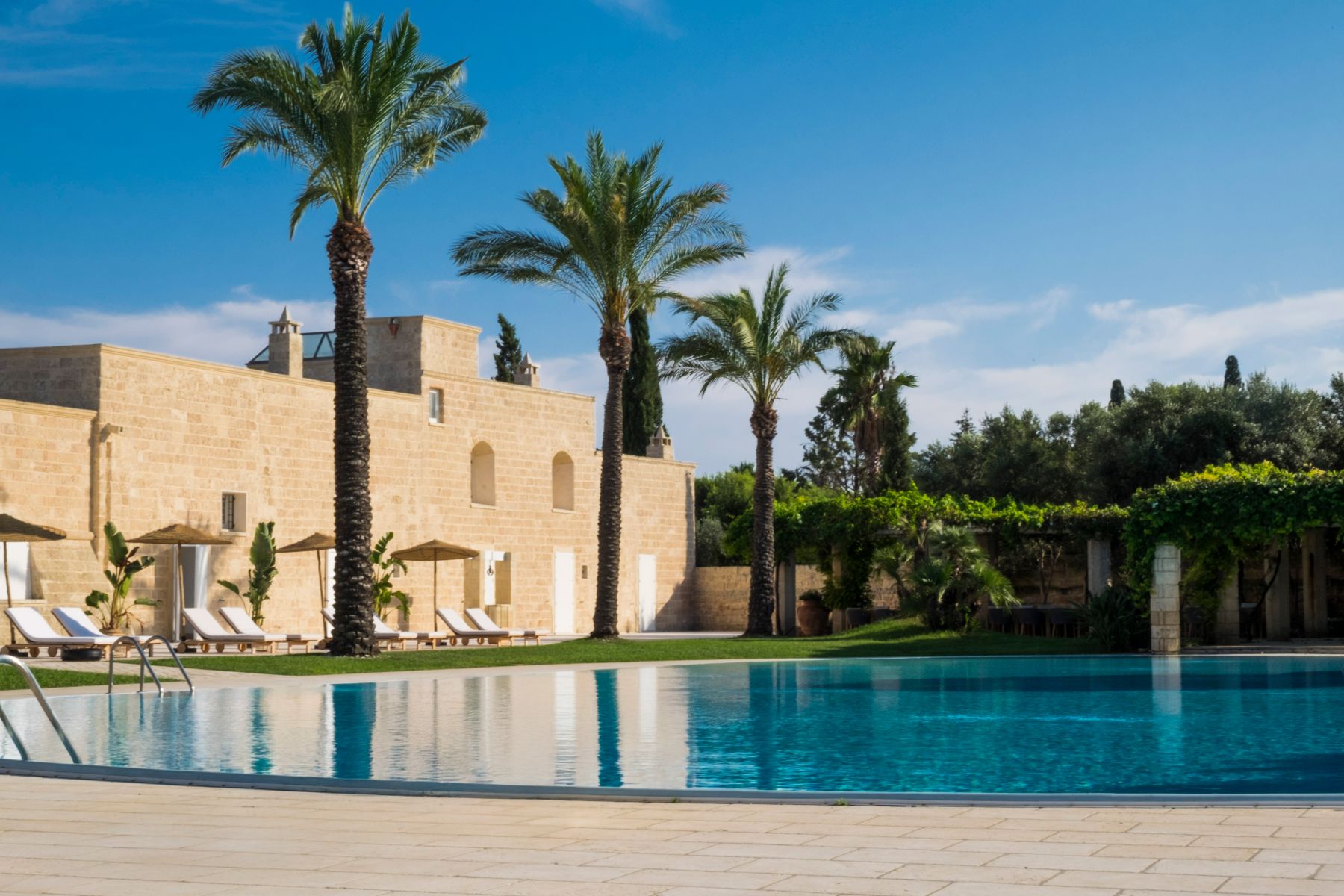Villa with a pool and 2 palm trees at Villa dei Papi in Puglia 