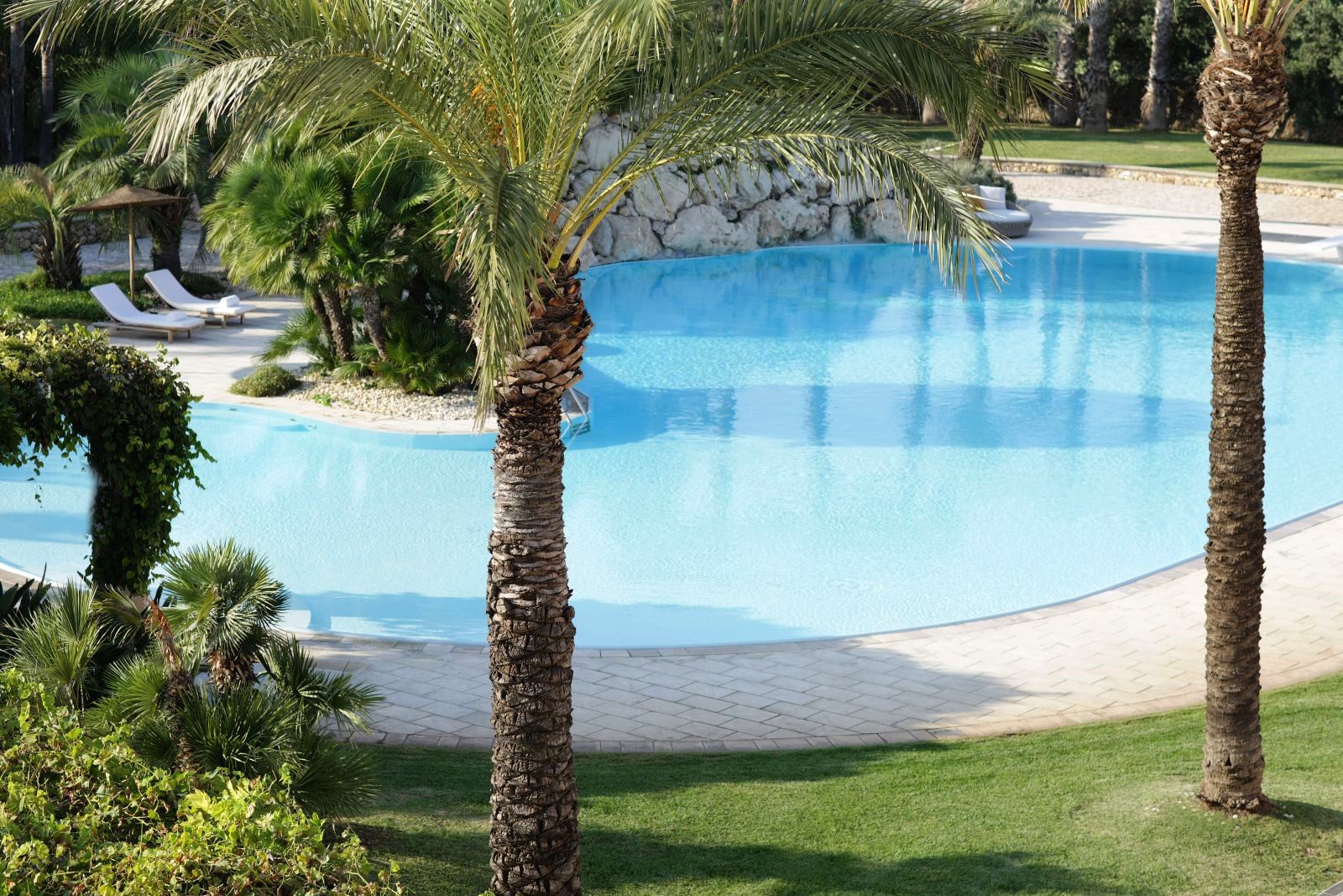 View through 2 palm trees over curved swimming pool at villa masseria dei papi in Puglian, Italy