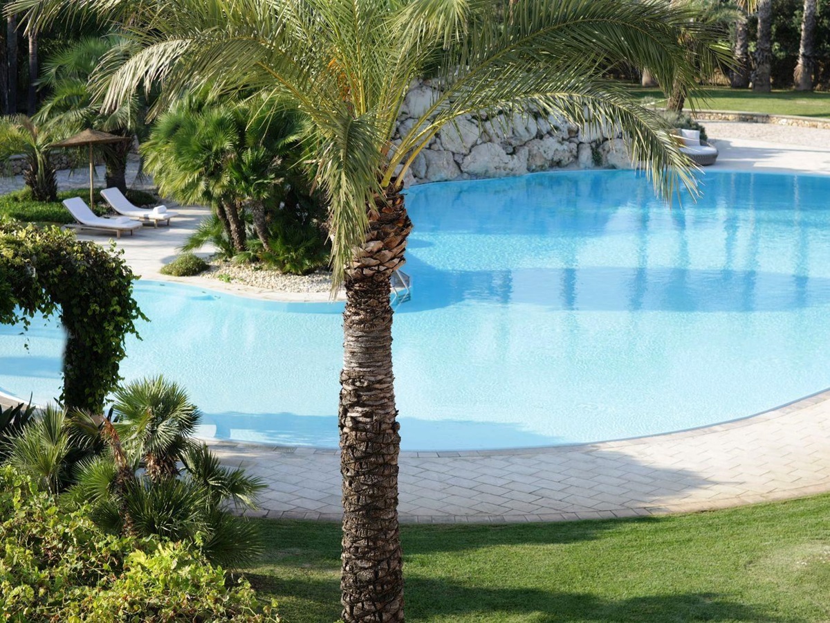 View through 2 palm trees over curved swimming pool at villa masseria dei papi in Puglian, Italy