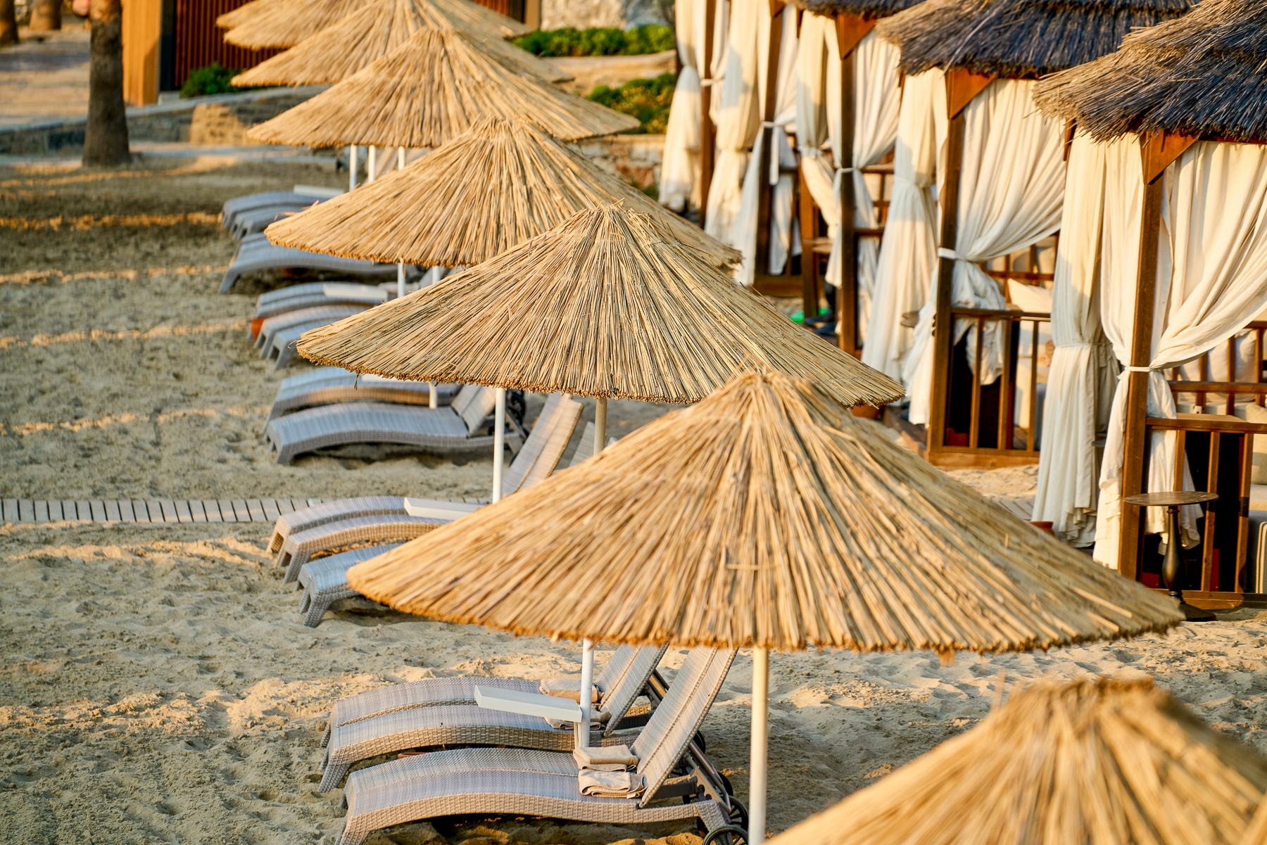 Loungers and thatched parasols on the beach of Savelletri in Puglia