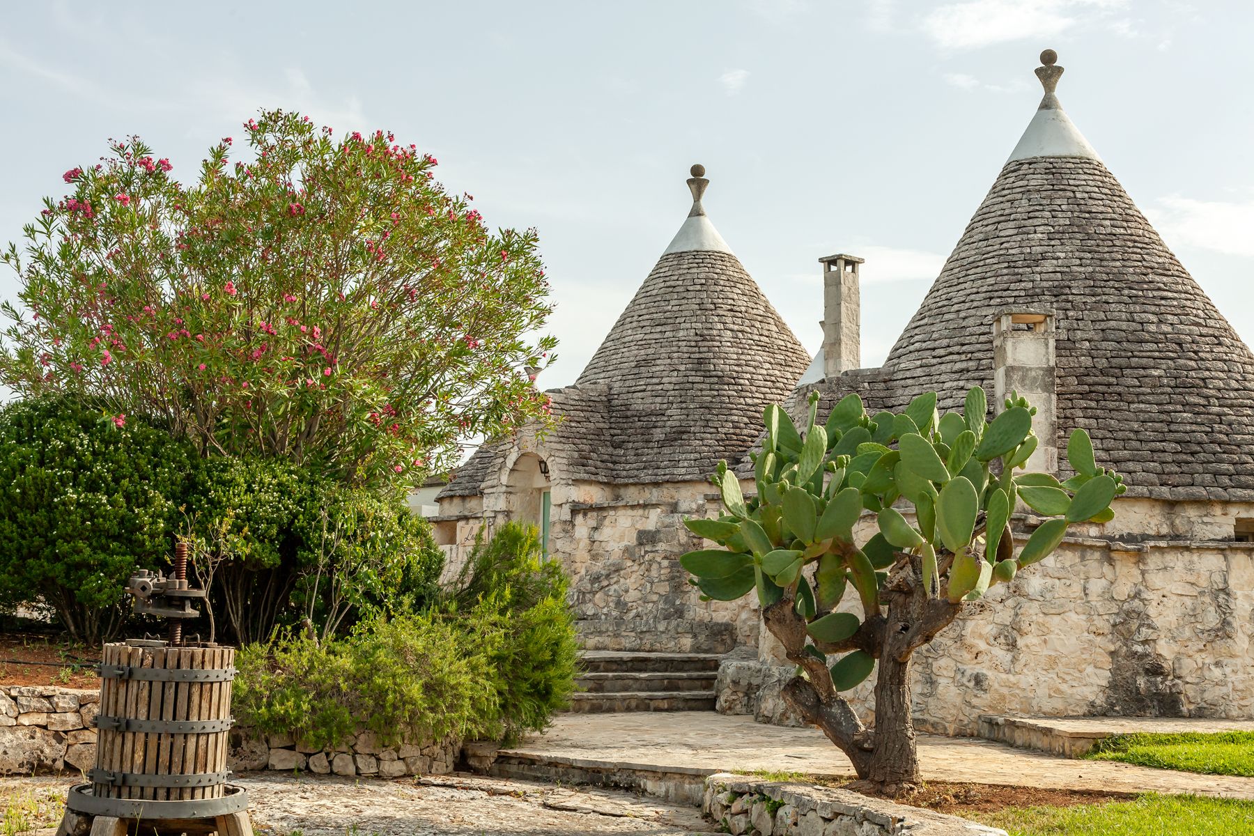 Exterior view and cactus at Trulli Lucia in Puglia