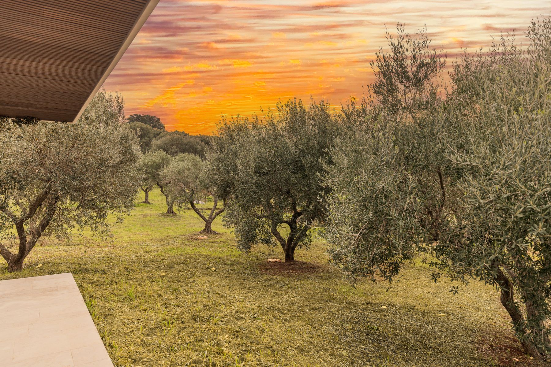 Sunset at Villa Venere with view of the trees