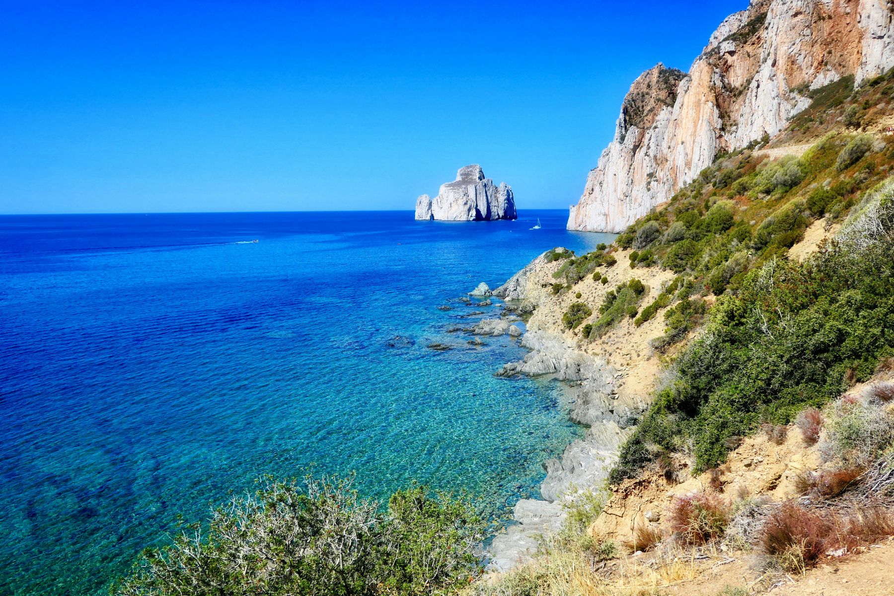 Vegetation along the rocky coastline of Sardinia