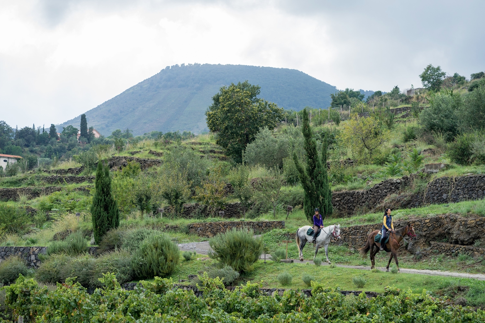 Horse riding at Monaci delle Terre Nere in Sicily