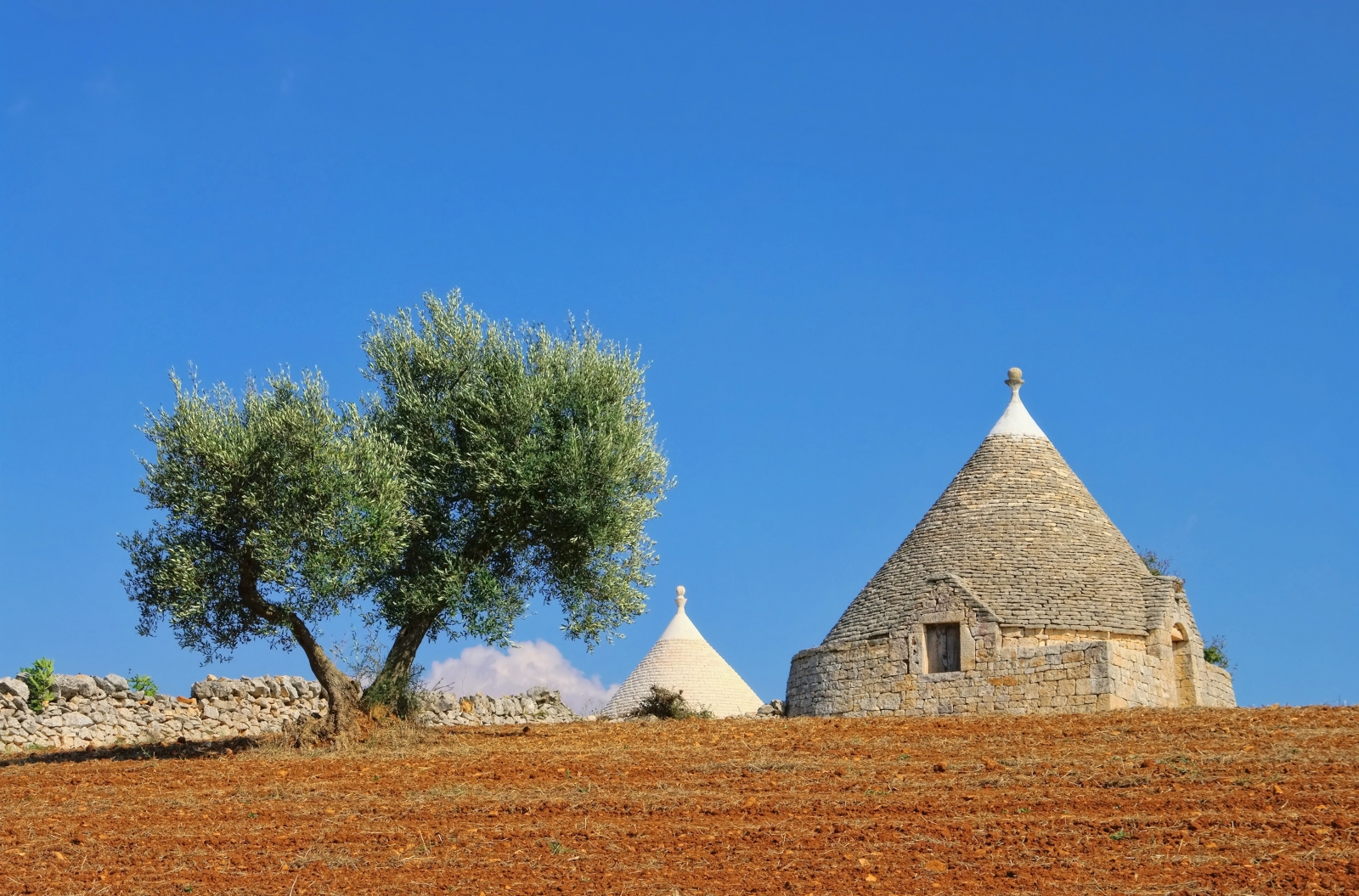 Conical buildings in Puglia