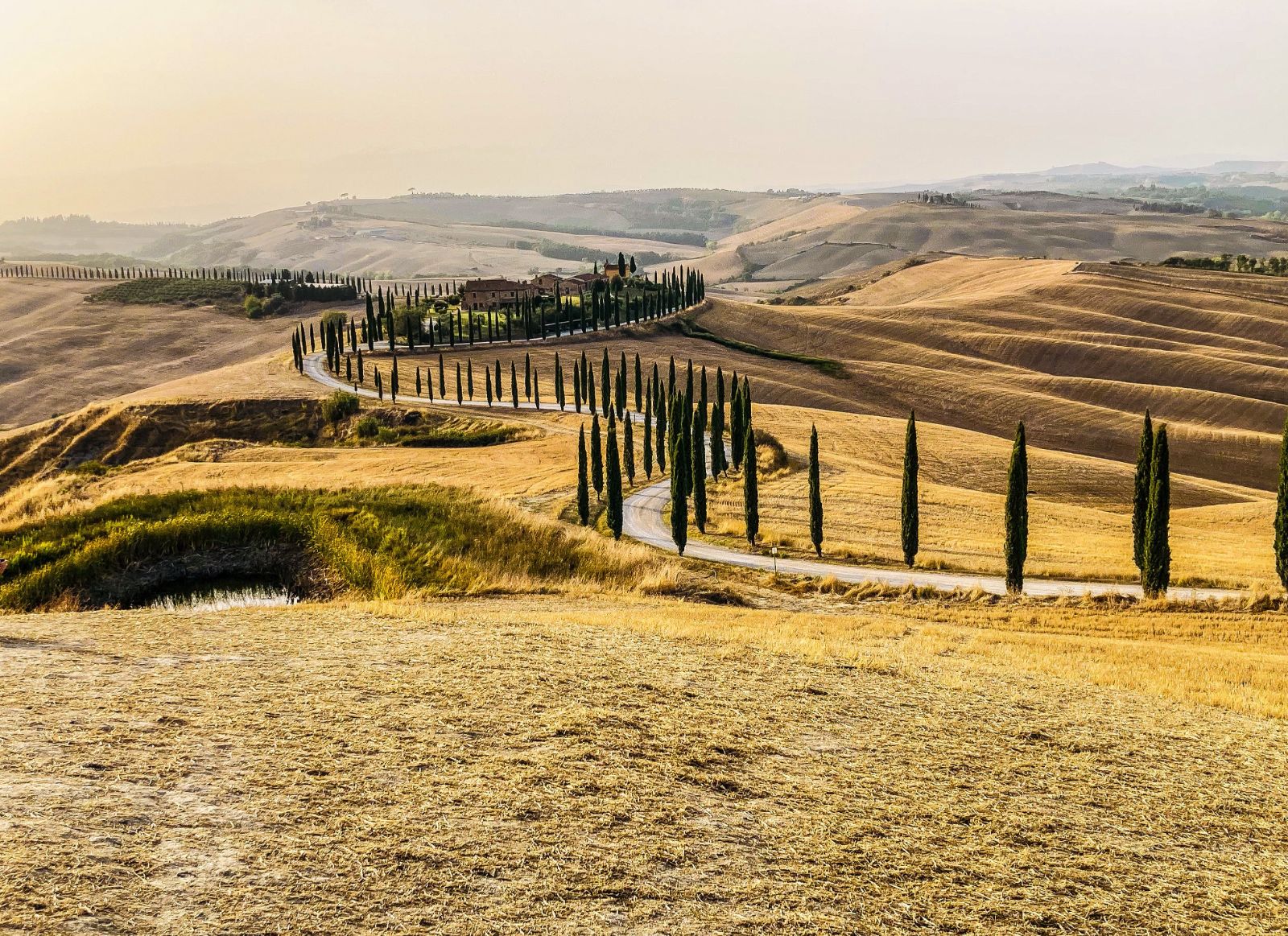 Golden hills and cypress-lined roads in Tuscany, Italy