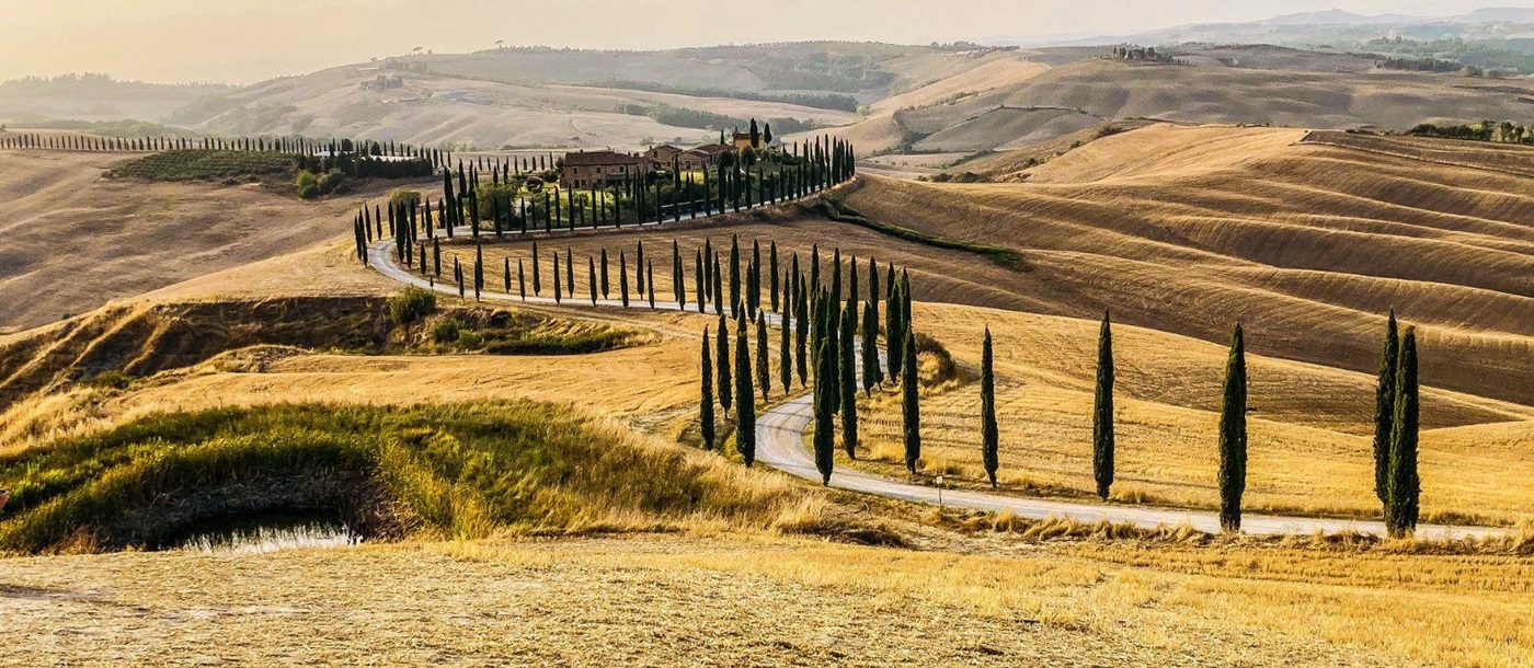 Golden hills and cypress lined roads in Tuscany Italy