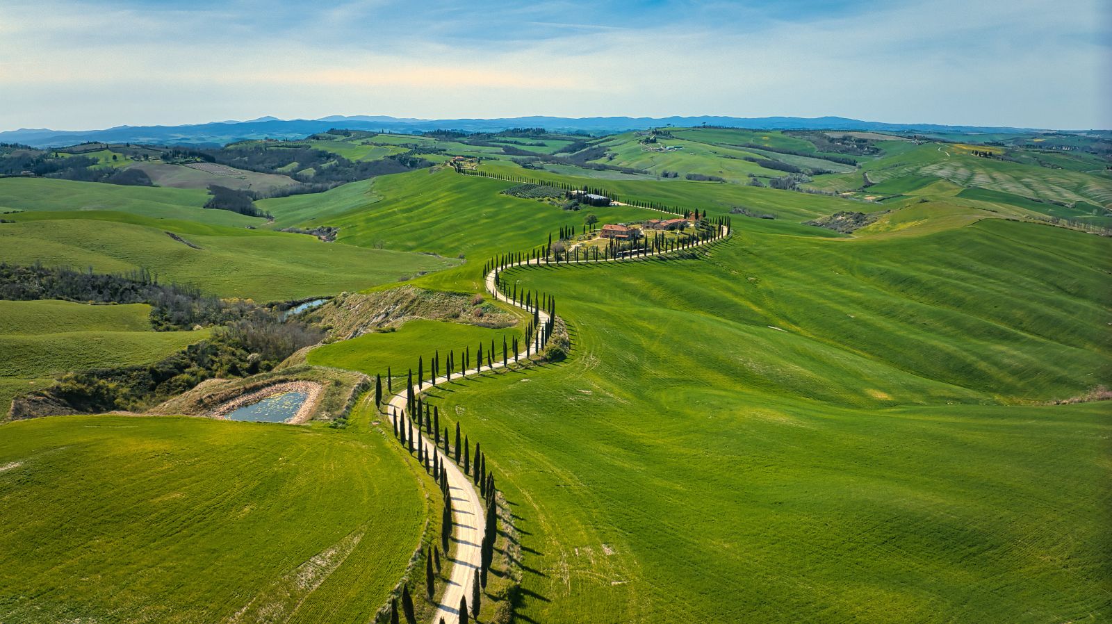 Aerial view of a cypress-lined road in Tuscany, Italy