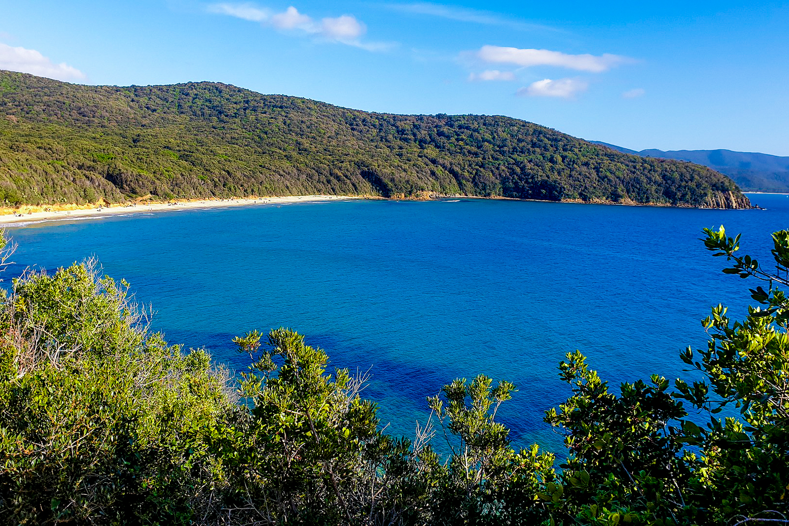 Cala Viloina beach in Tuscany