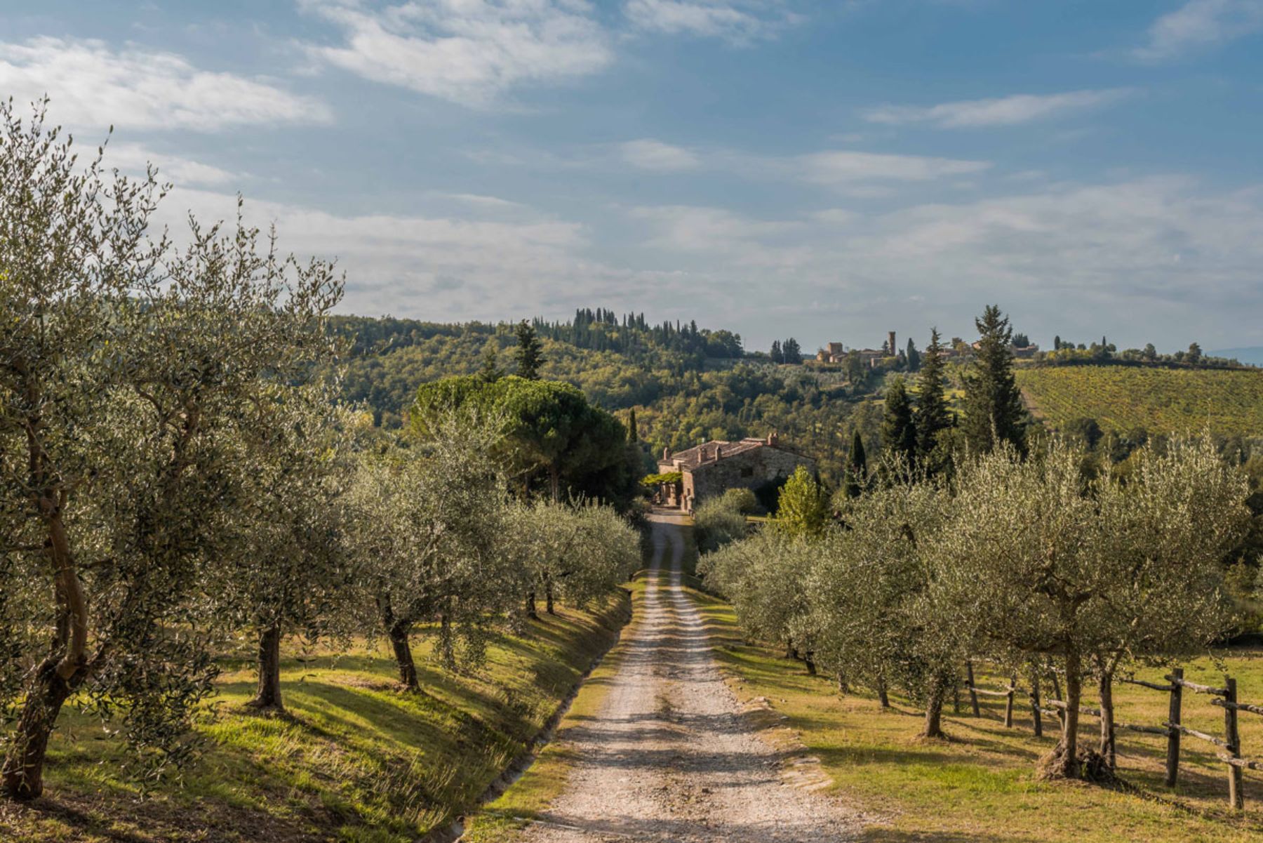 Entrance driveway at Casa Picchio in Tuscany