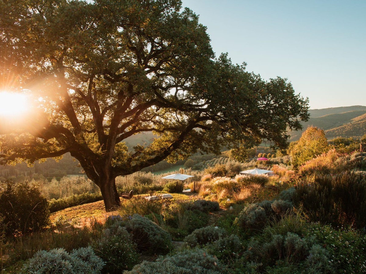Sunset in the garden at La Regina in Tuscany