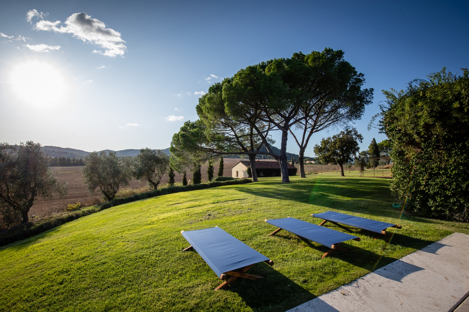 Garden with sun loungers, trees, countryside view and guest house at La Vigna in Tuscany, Italy