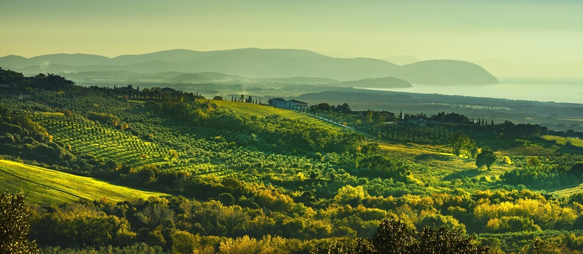 A landscape shot of Maremma in Southern Tuscany with the sea and mountains in the background