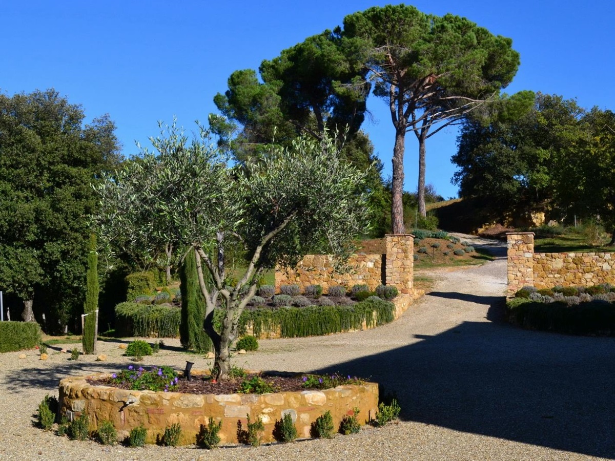 Driveway with walled tree at Podere Caterina Tuscany