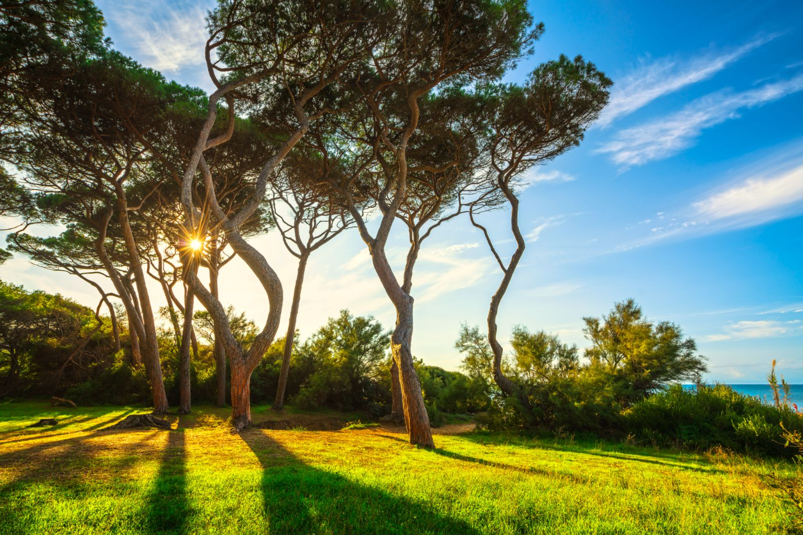 Spiaggia Di Baratti in Tuscany