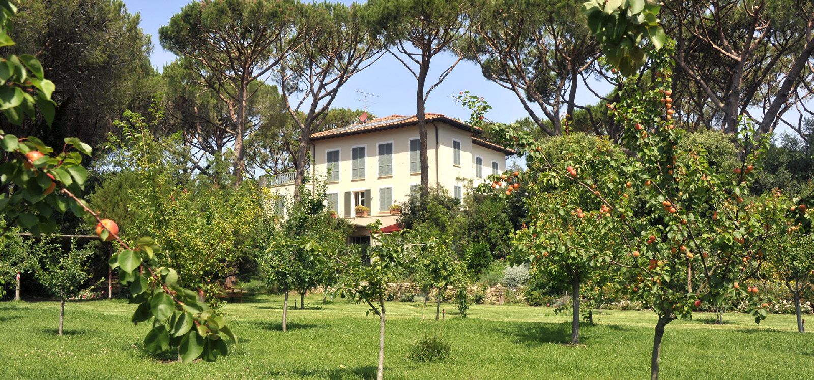 The gardens at villa Tombolino in Tuscany