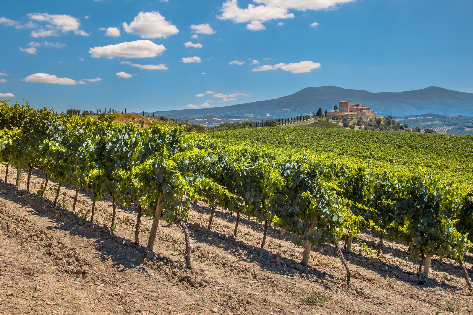 Tuscany Landscape