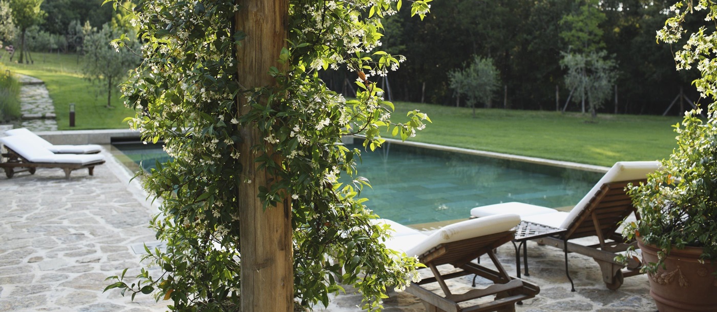 Swimming pool of Villa Alba,  Tuscany