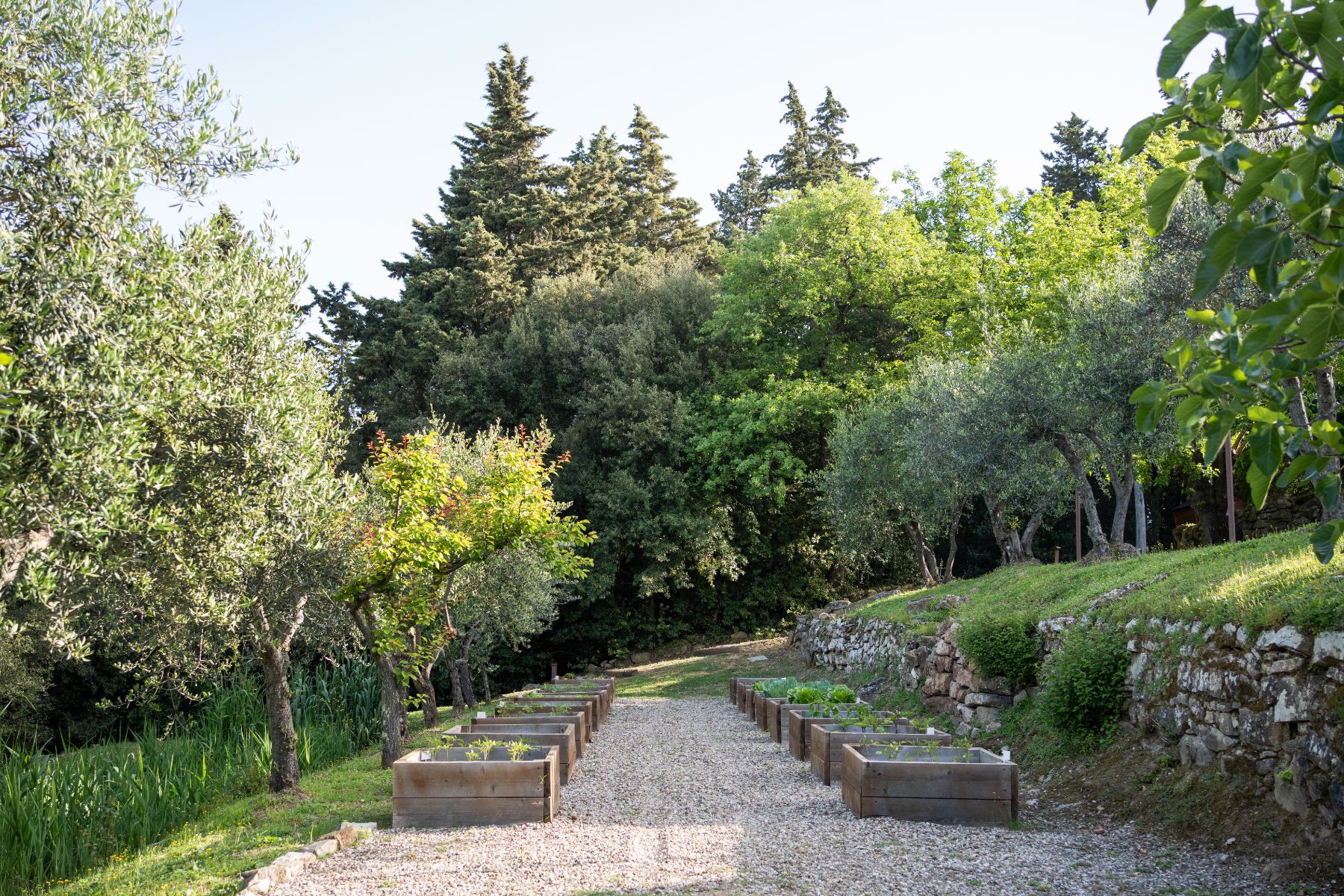 Garden at Villa Ardore in Tuscany, Italy