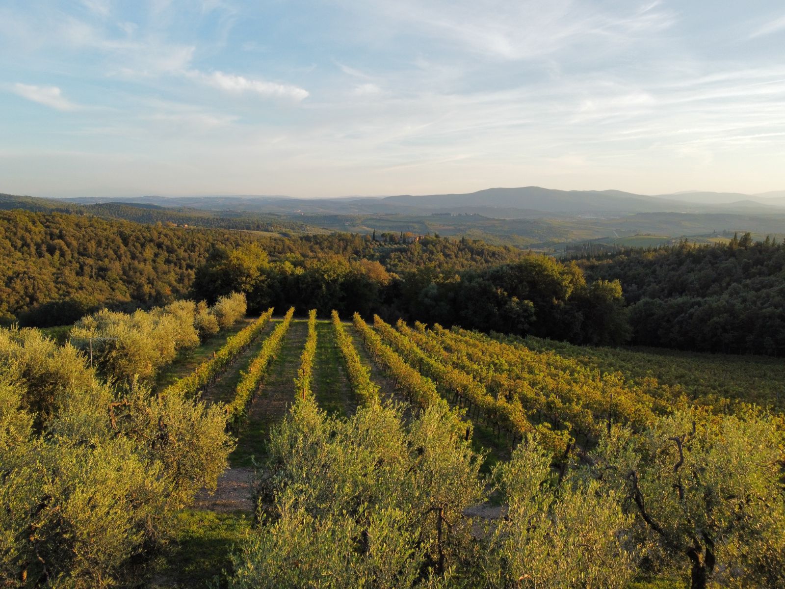 View at Villa Cispiano in Tuscany