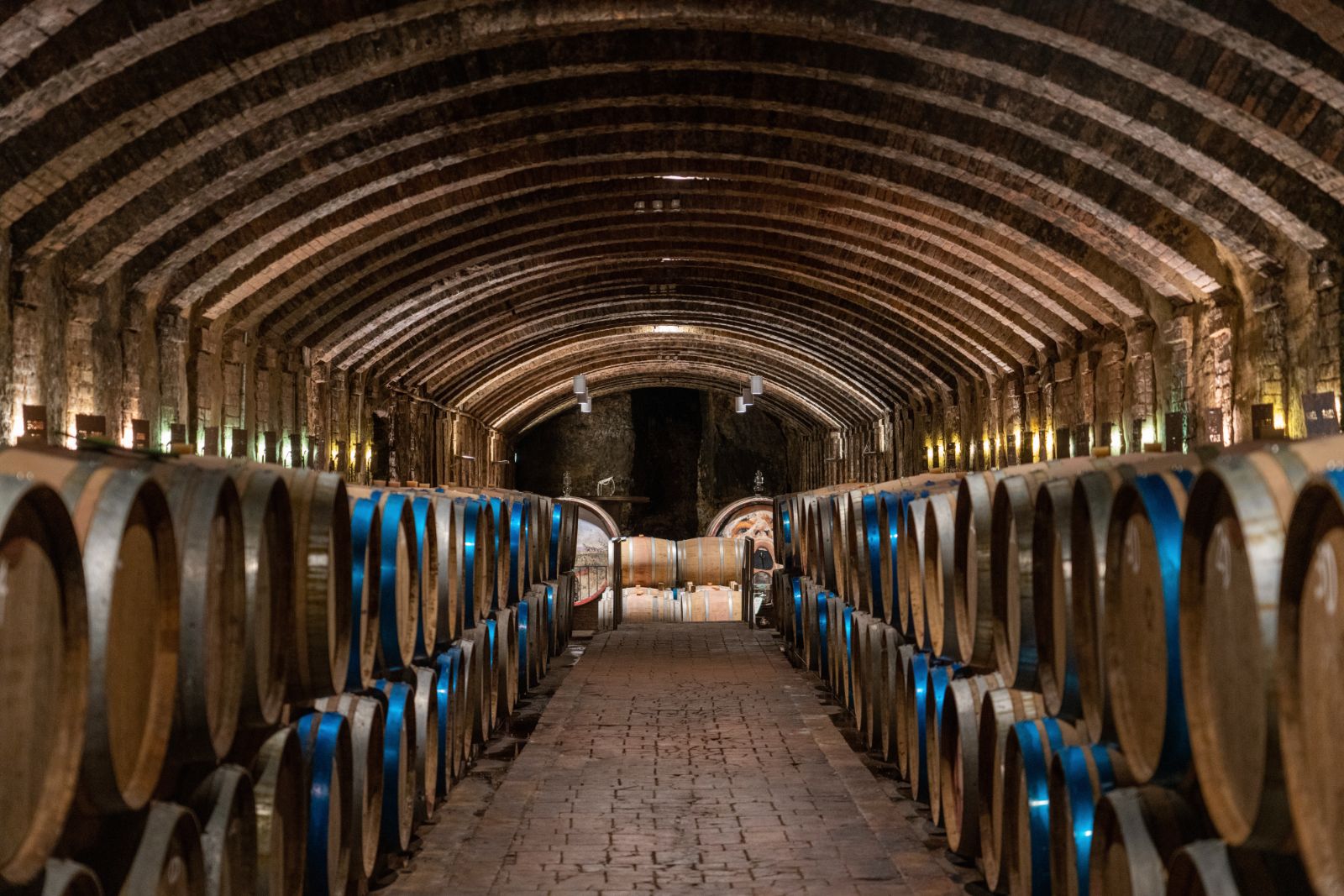 Wine Cellar at Villa Cispiano in Tuscany