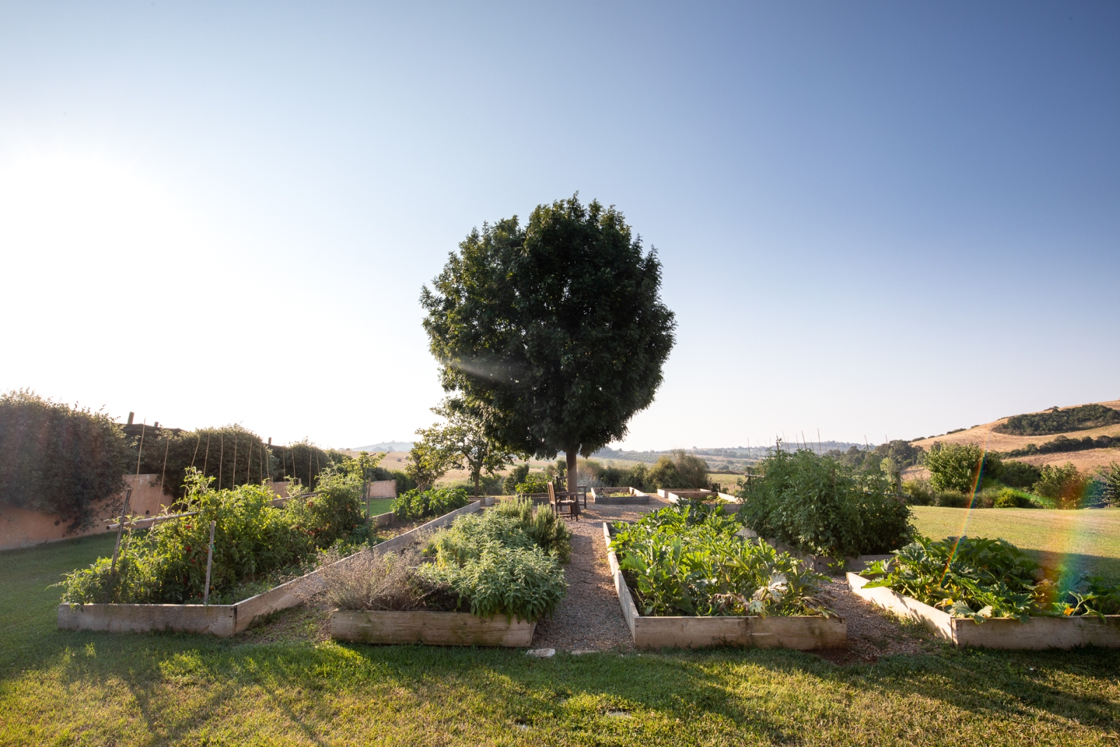 Garden with flower and vegetable beds and large tree at Villa del Gelso, Tuscany