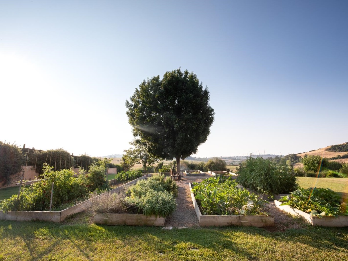 Garden with flower and vegetable beds and large tree at Villa del Gelso, Tuscany
