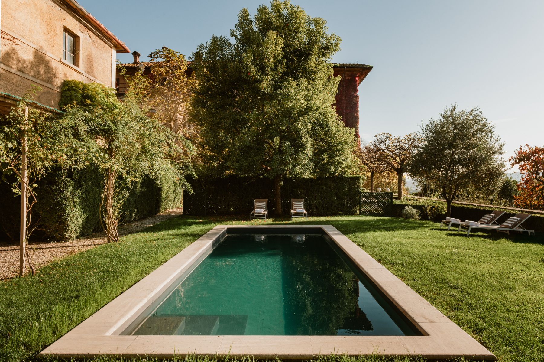 Outdoor pool area surrounded by grass and trees at Villa delle Vigne in Tuscany