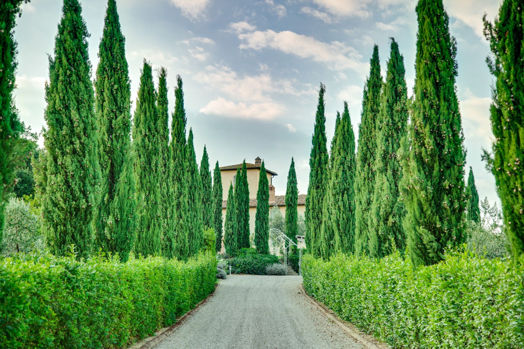 Trees surrounded the driveway with Villa di Tignano in the background
