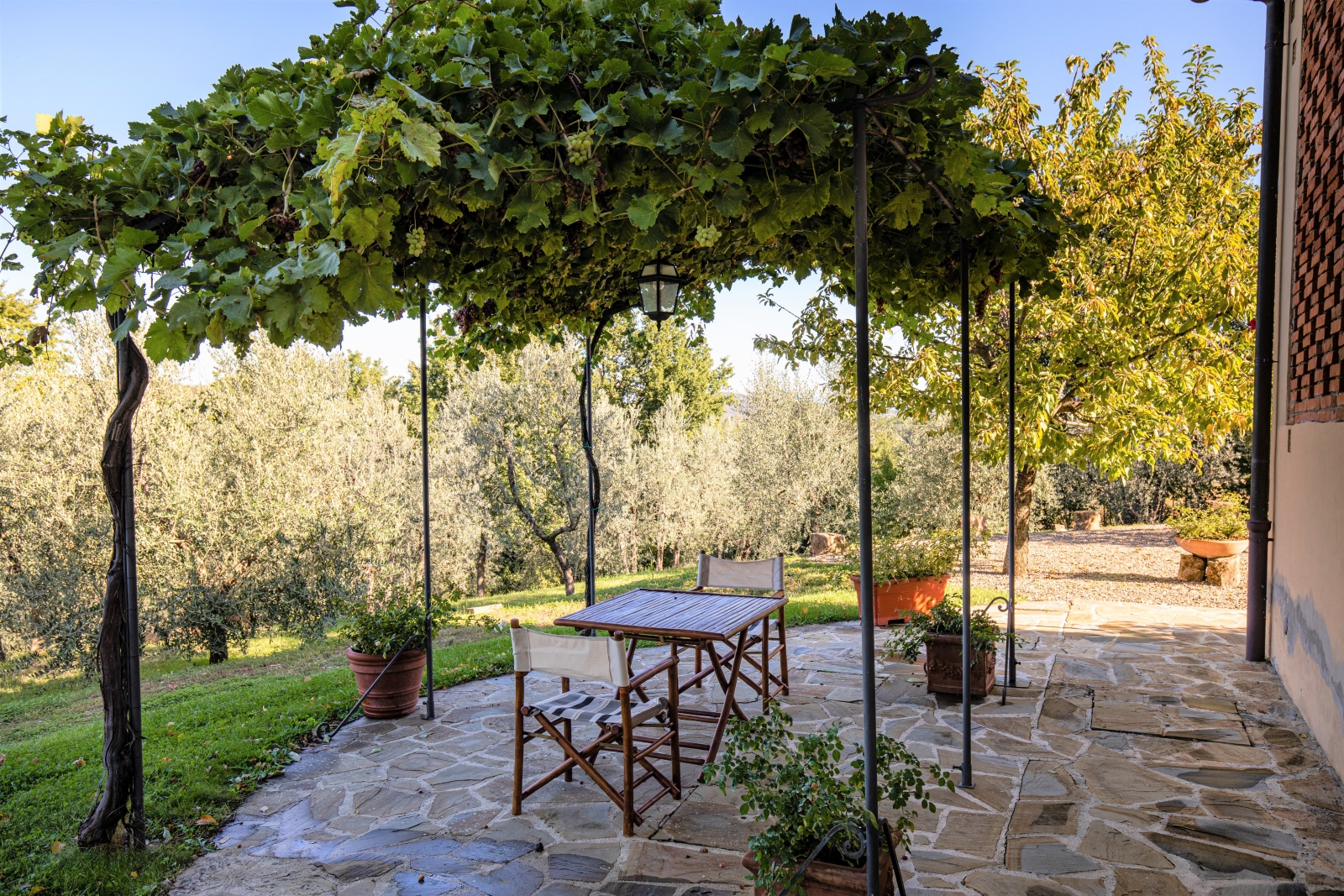 Outdoor dining area with table, chairs, plant pots and vines with grapes at Villa Giuliana in Tuscany, Italy