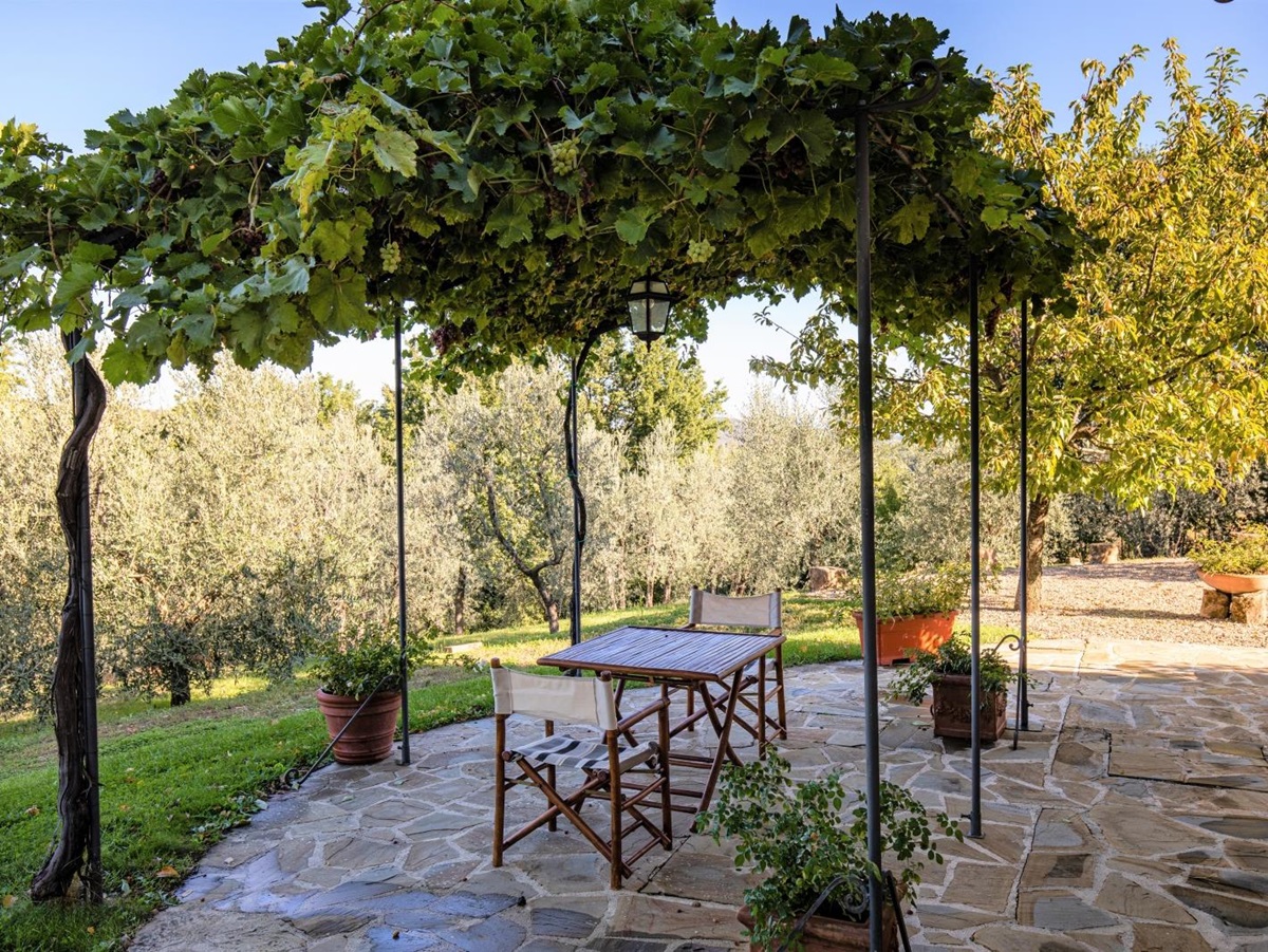 Outdoor dining area with table, chairs, plant pots and vines with grapes at Villa Giuliana in Tuscany, Italy
