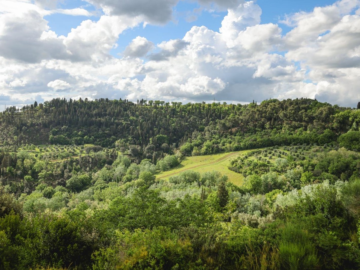 villa-il-santo-tuscany-view-1