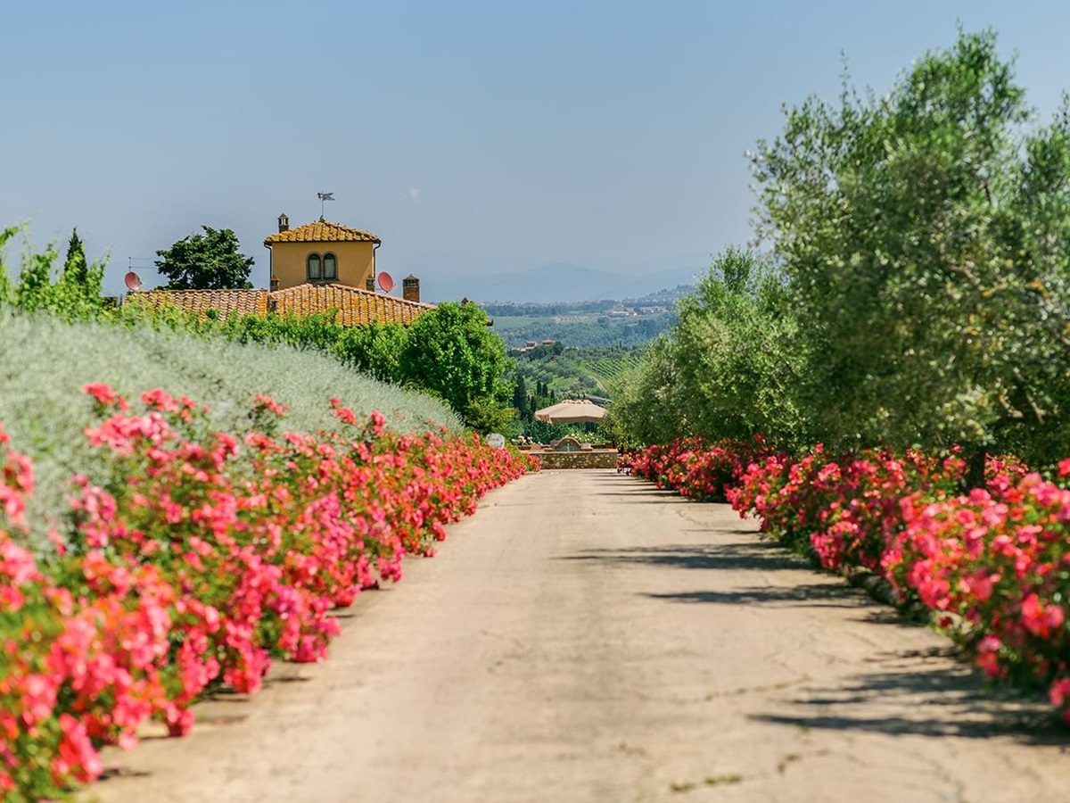 Driveway lined with pink flowers at Villa Il Sole in Tuscany