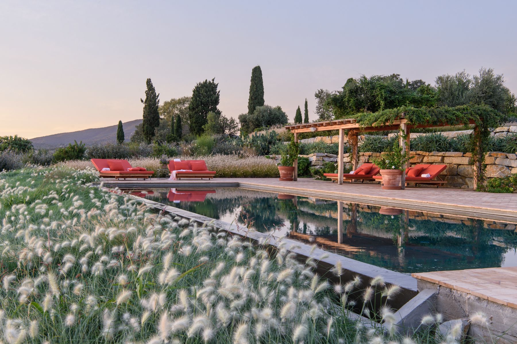 Pool and Flowers at Villa Jacaranda in Tuscany 