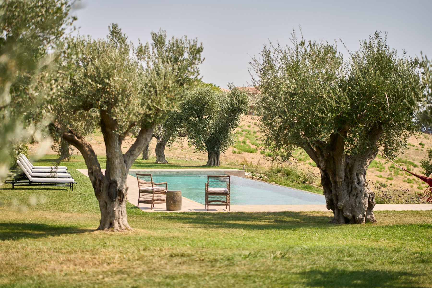 Pool and olive trees at Villa Roccamare in Tuscany