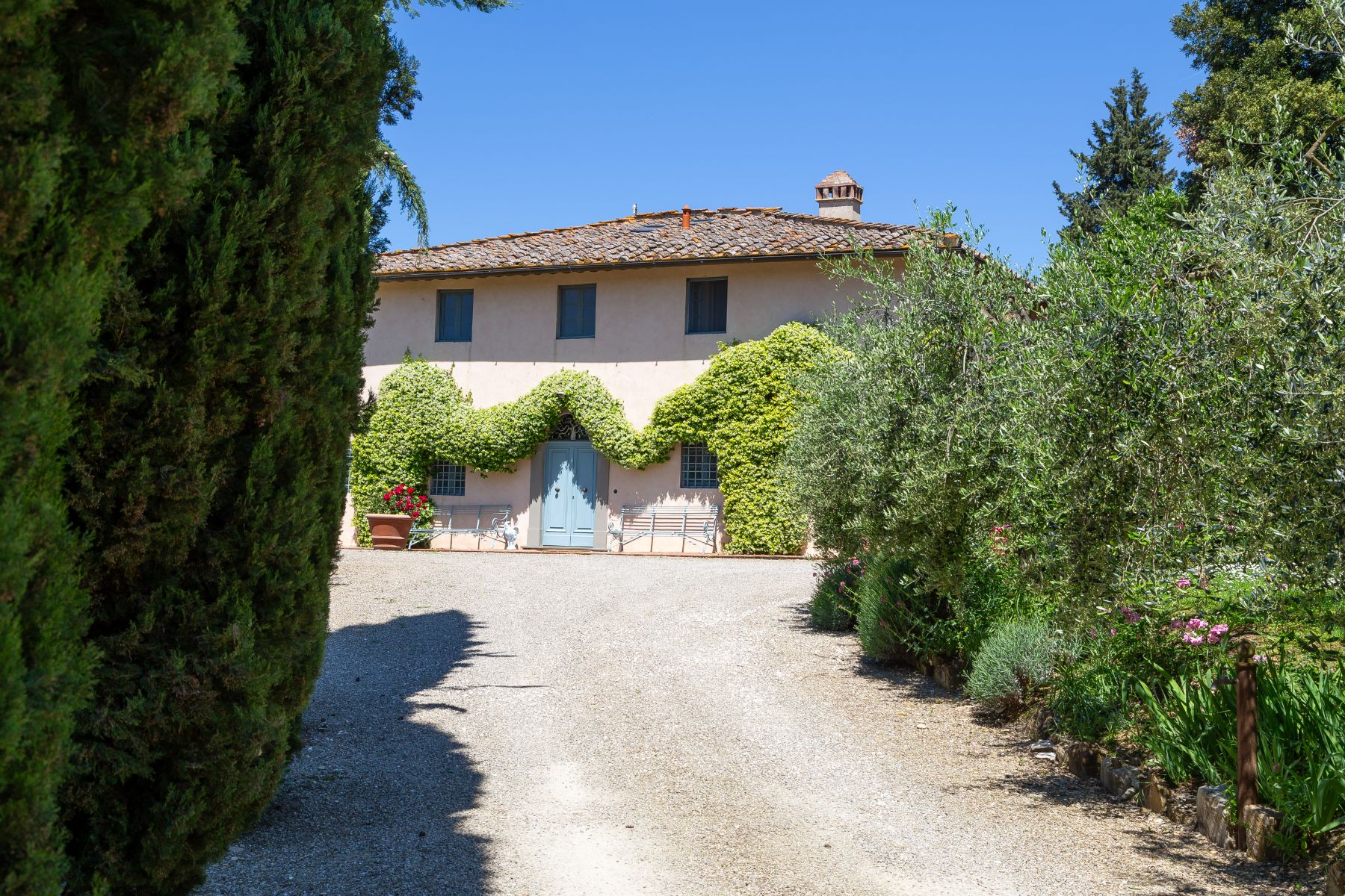 Driveway at Villa San Casciano in Tuscany with trees either side and the villa at the end of the driveway