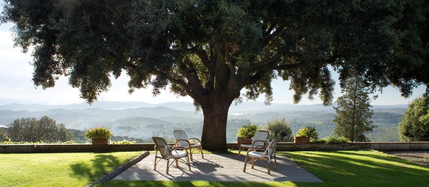 Large tree with outdoor seating at San Morello in Tuscany