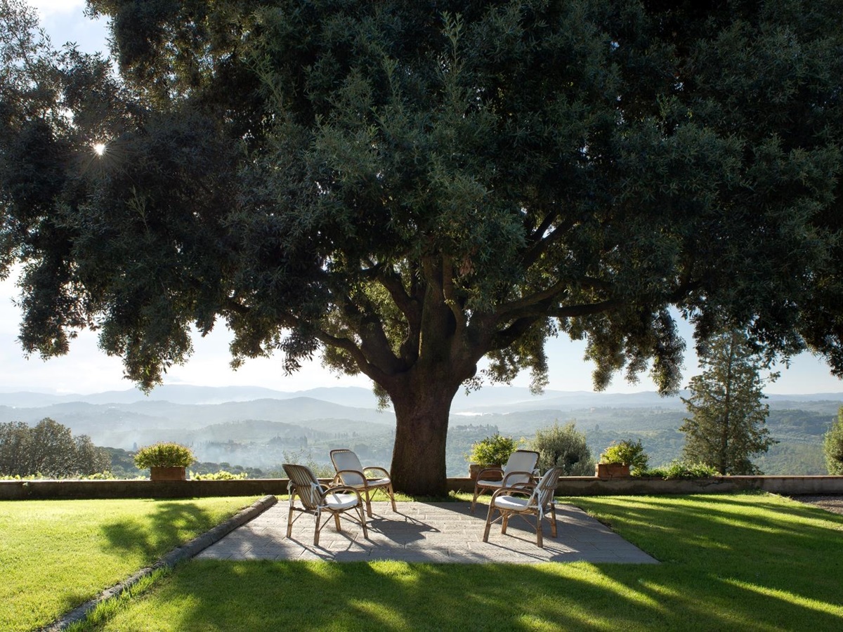 Large tree with outdoor seating at San Morello in Tuscany