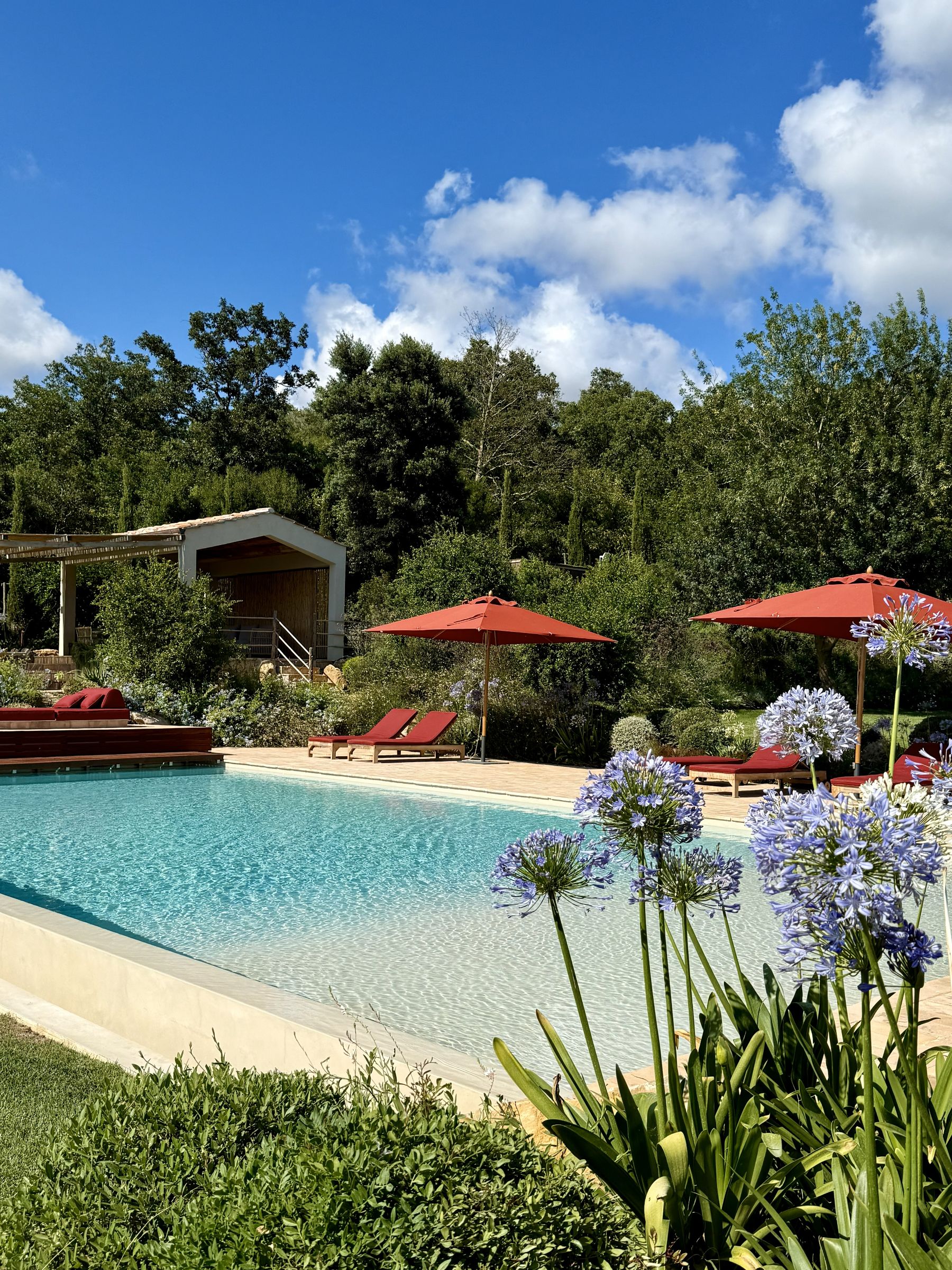 Swimming pool with flowers at Villa Tenerezza in Tuscany