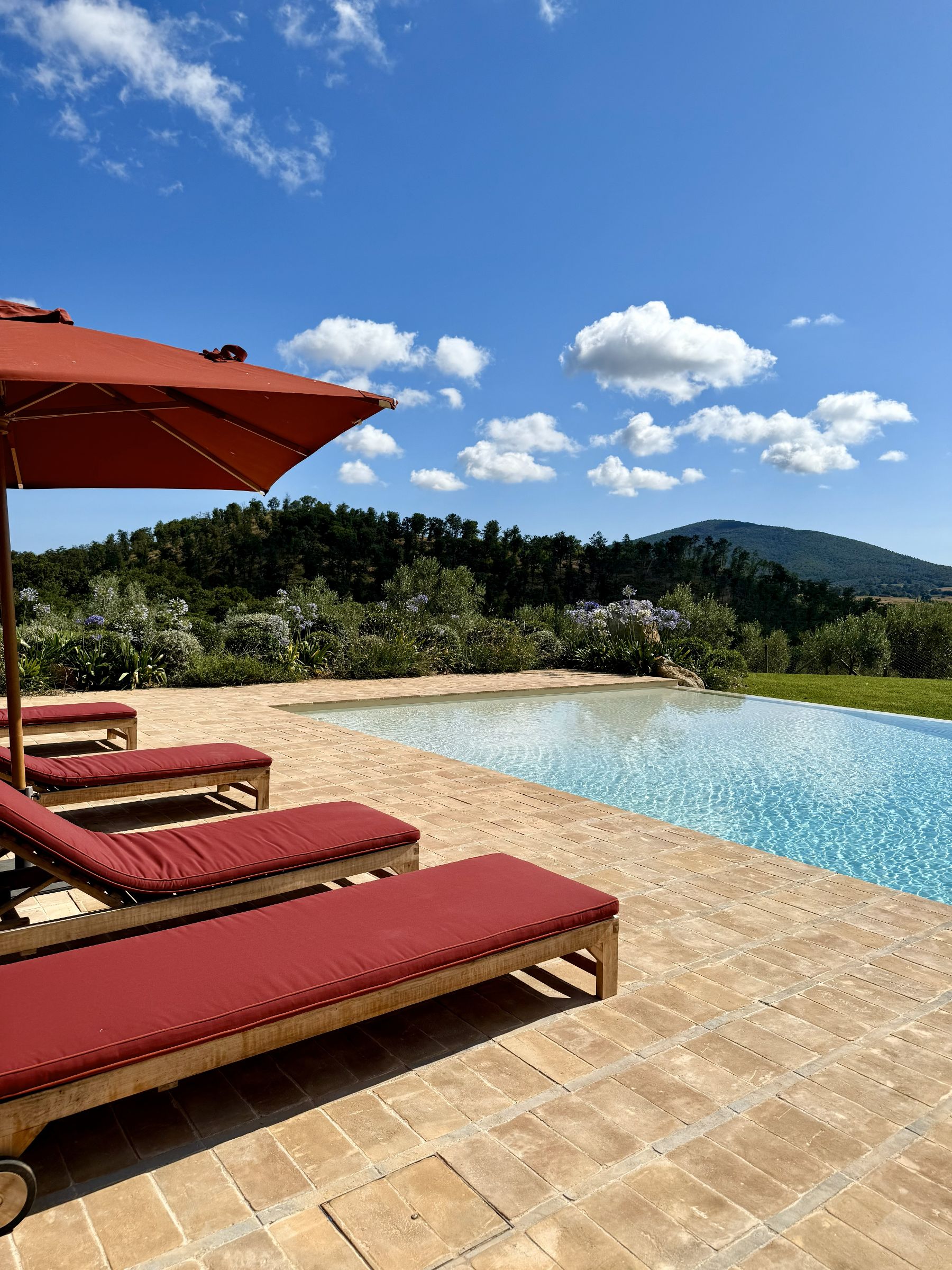Swimming pool and loungers at Villa Tenerezza in Tuscany