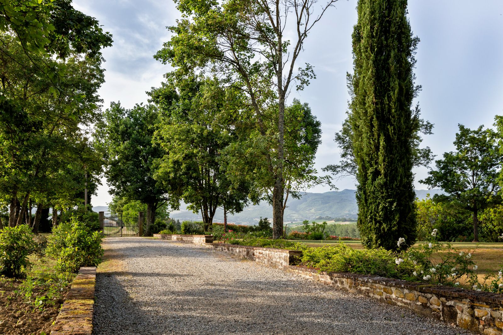 Driveway at Villa Tuori in Tuscany