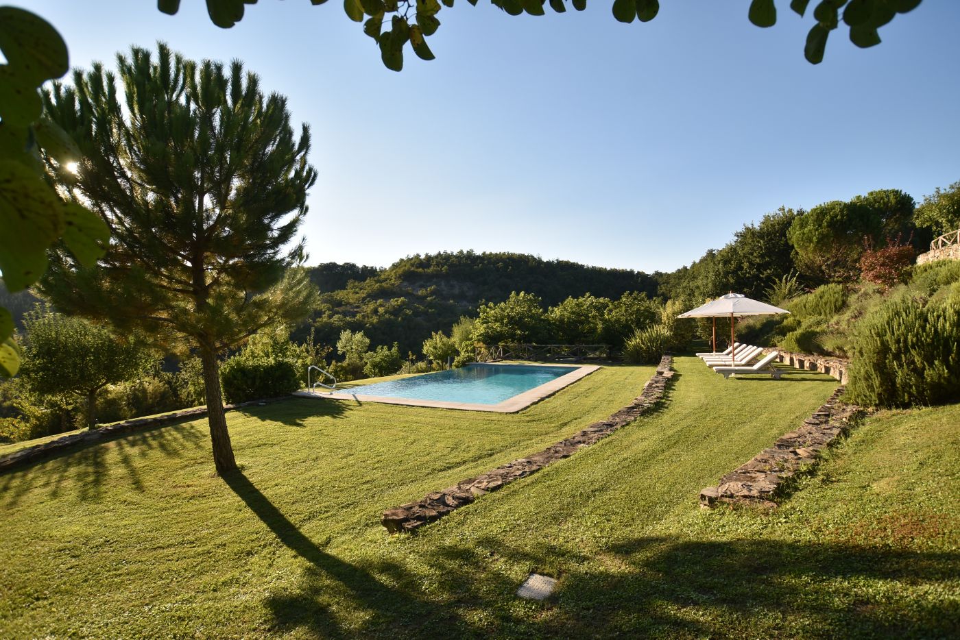 The pool and surrounding greenery at Villa il Falco.