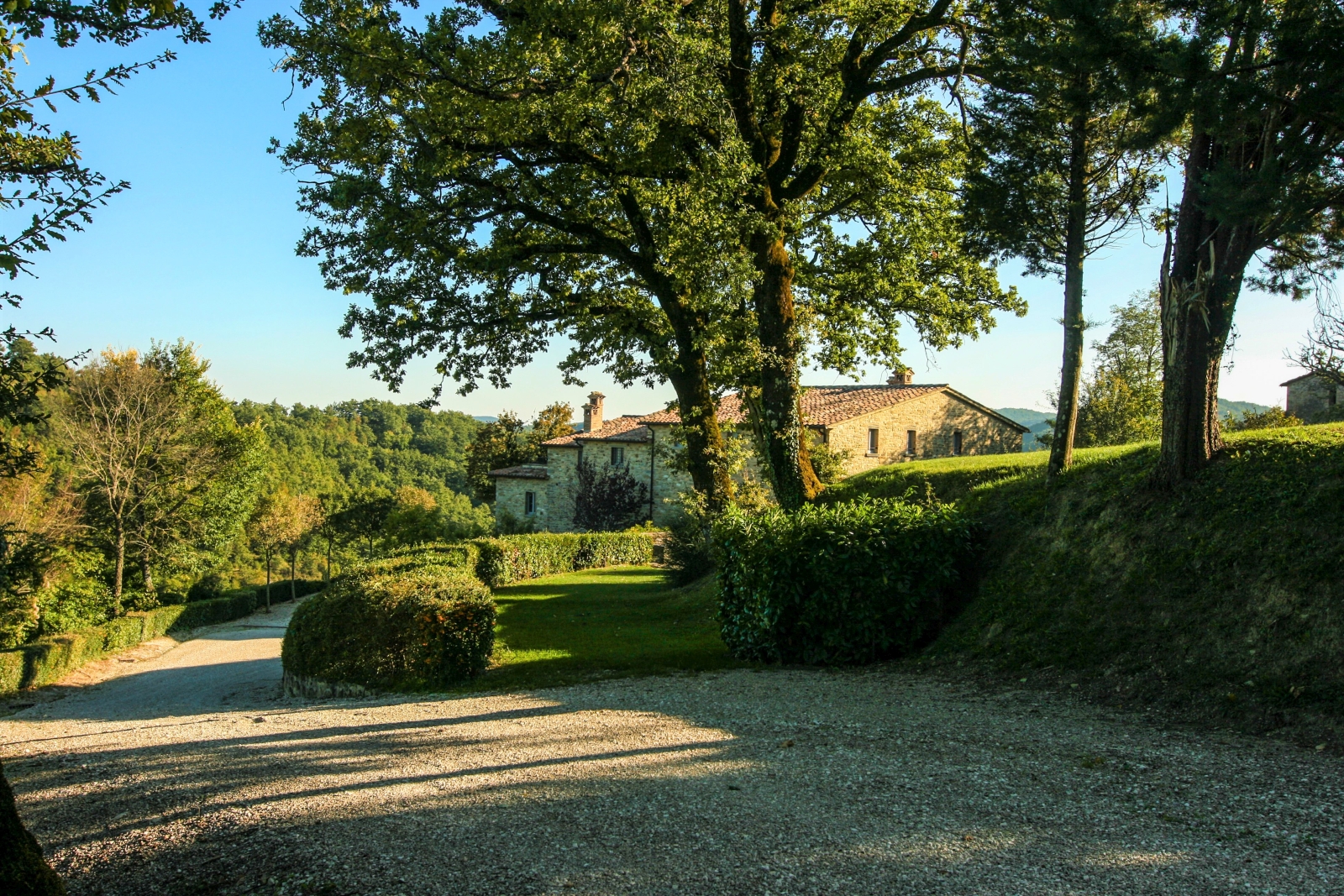Stone driveway lined with trees and hedges at La Spiga in Umbria, Italy