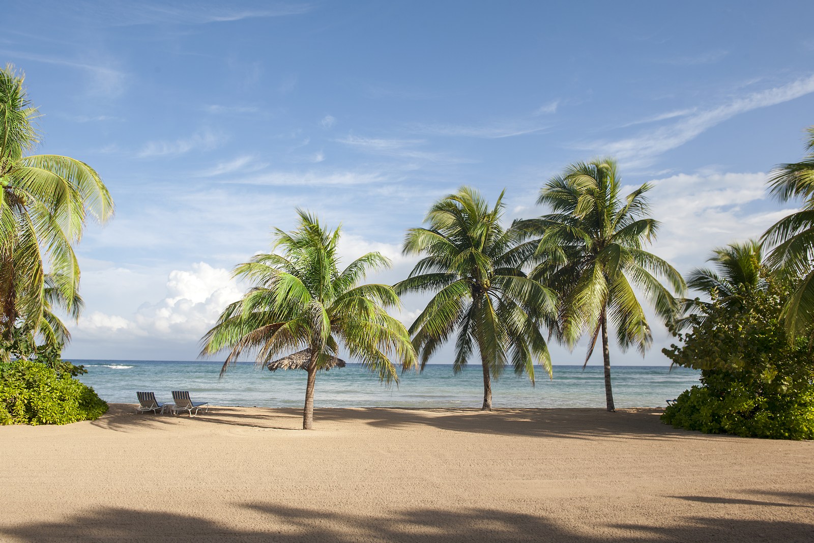 beach of half moon, jamaica