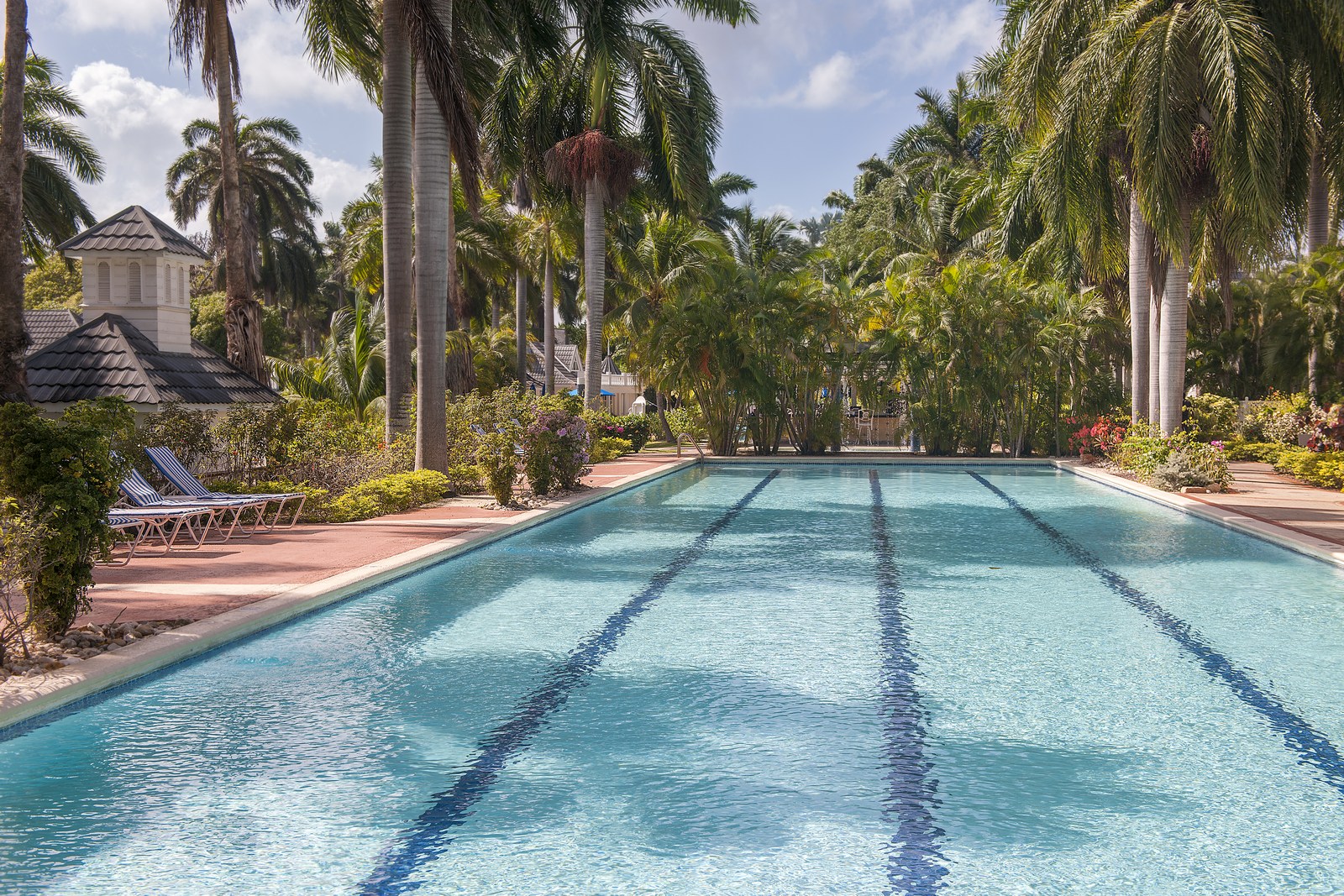 swimming pool of half moon, jamaica