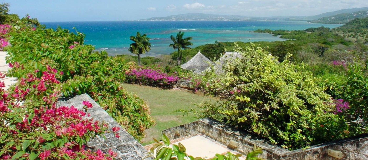 The gardens at Longview Manor, Jamaica