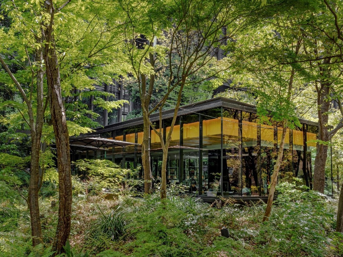 Forest surrounds of The Cafe at the Aman Tokyo