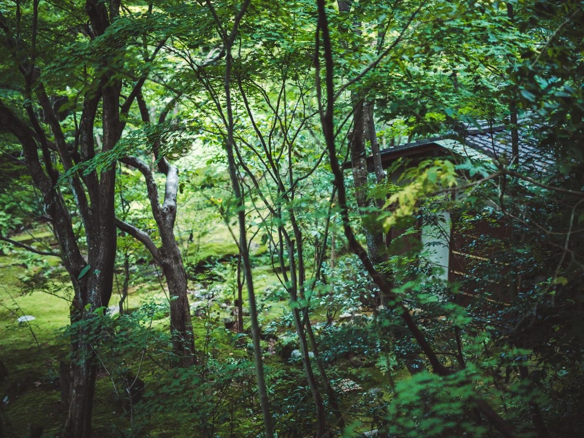 The forest garden at Beniya Mukayu ryokan in Japan