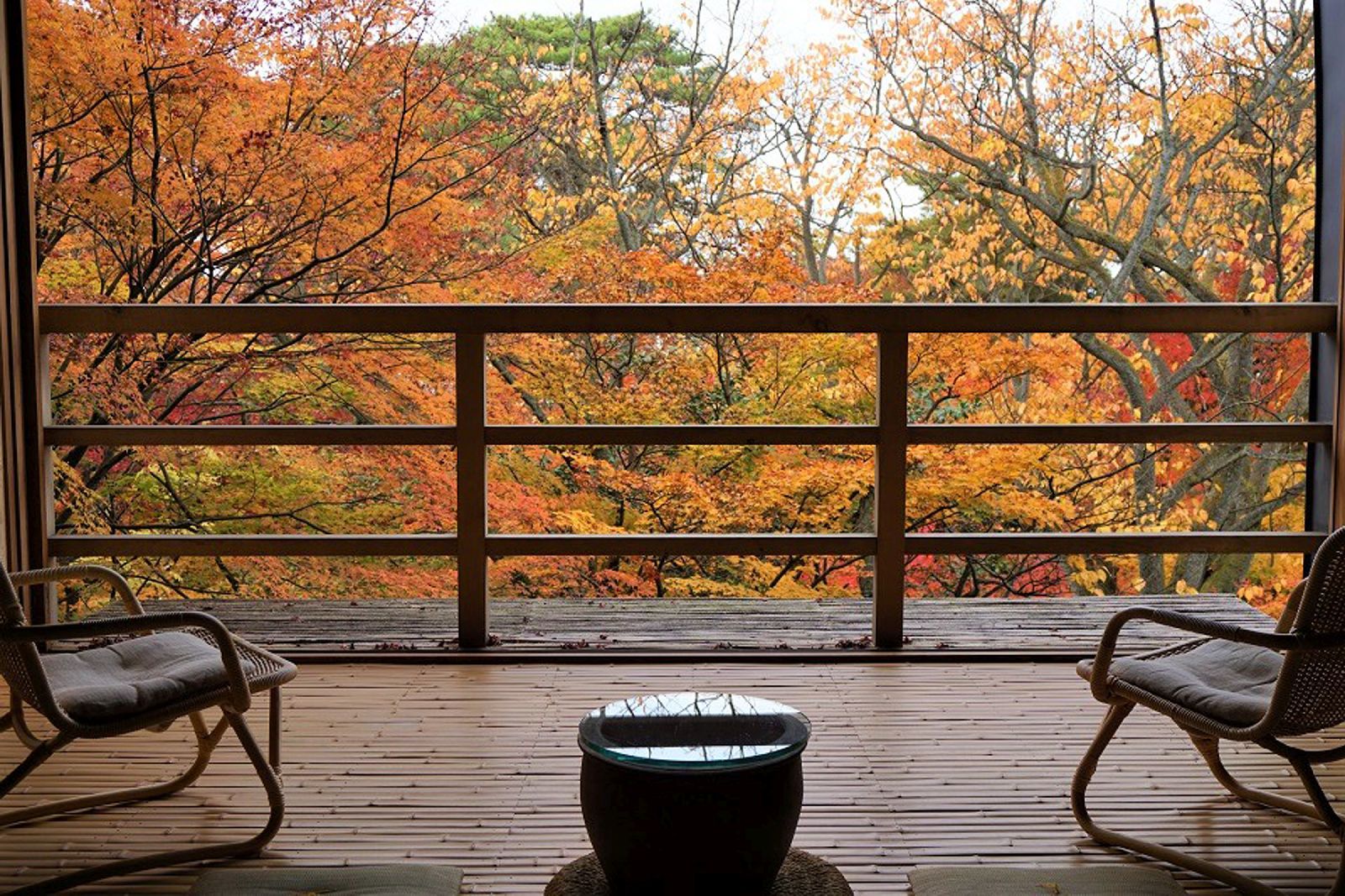 Autumn colours of the forest garden at Beniya Mukayu ryokan in Japan
